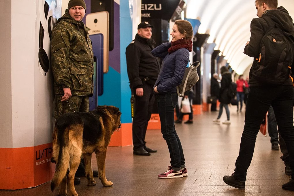Як поводяться собаки в метро та аеропорту25