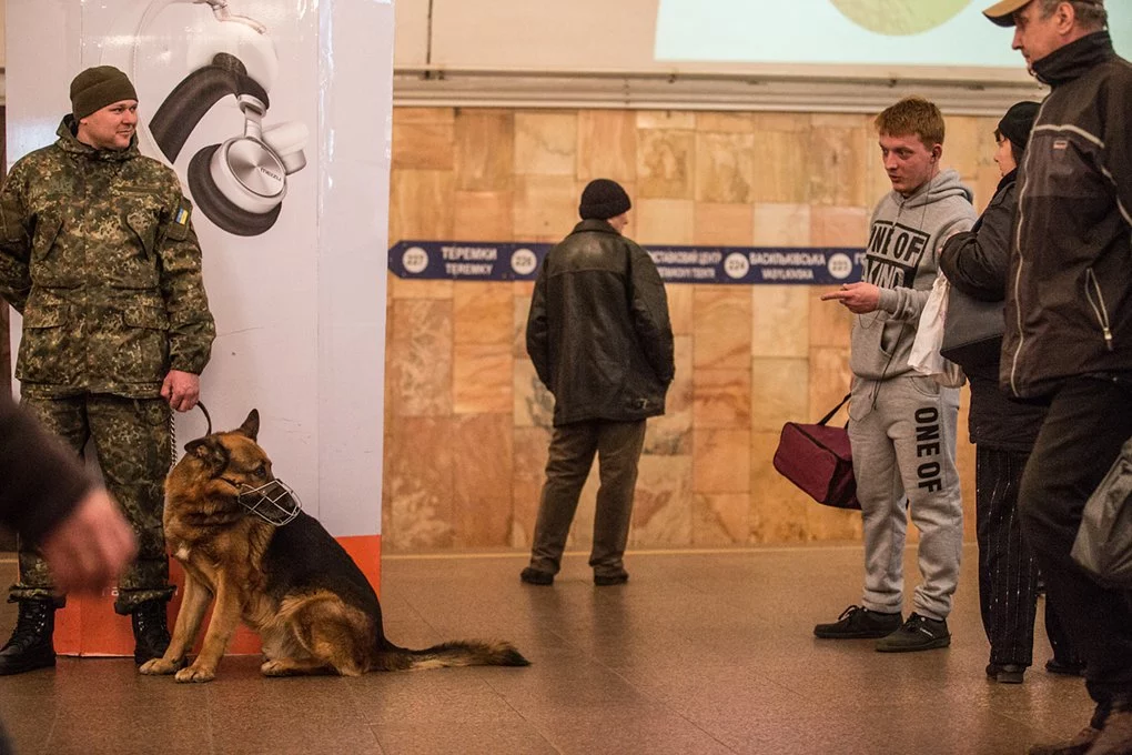 Як поводяться собаки в метро та аеропорту22