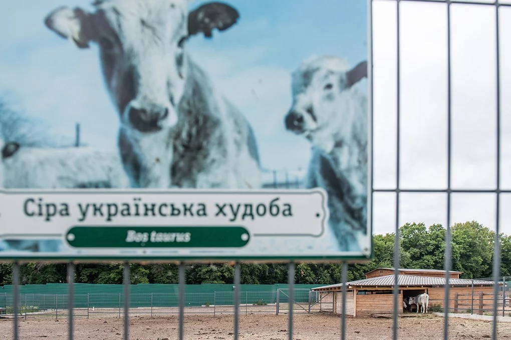 Я є зоологом, що працює в Межигір'ї.1