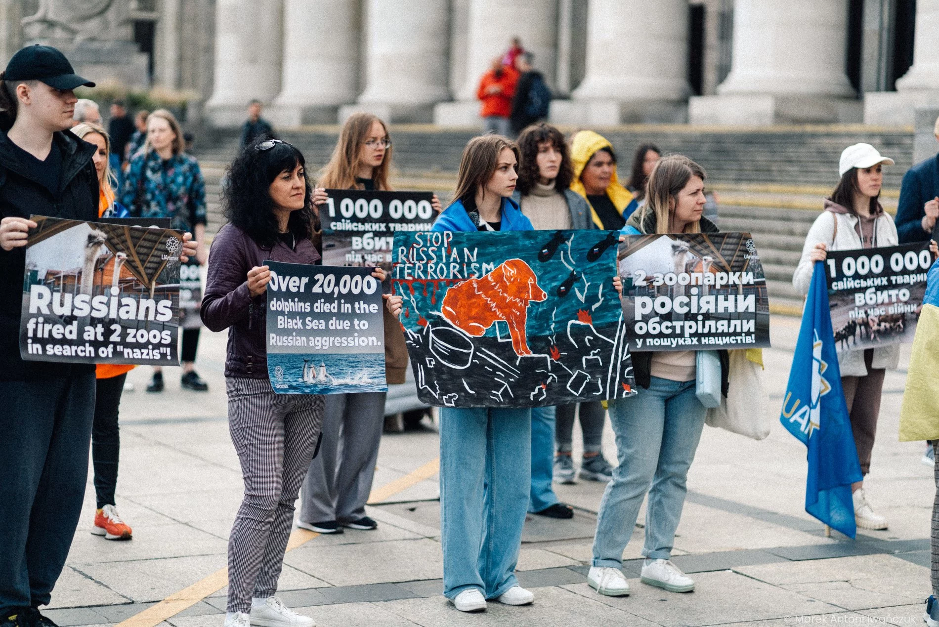 Зоозахисники рятують тварин під час війни: як допомогти безпритульним чотирилапим1