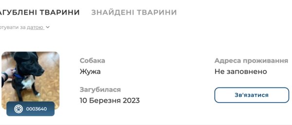 В Україні запрацює єдиний реєстр домашніх тварин: що важливо знати власникам
