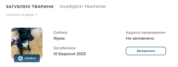 В Україні запрацює єдиний реєстр домашніх тварин: що важливо знати власникам