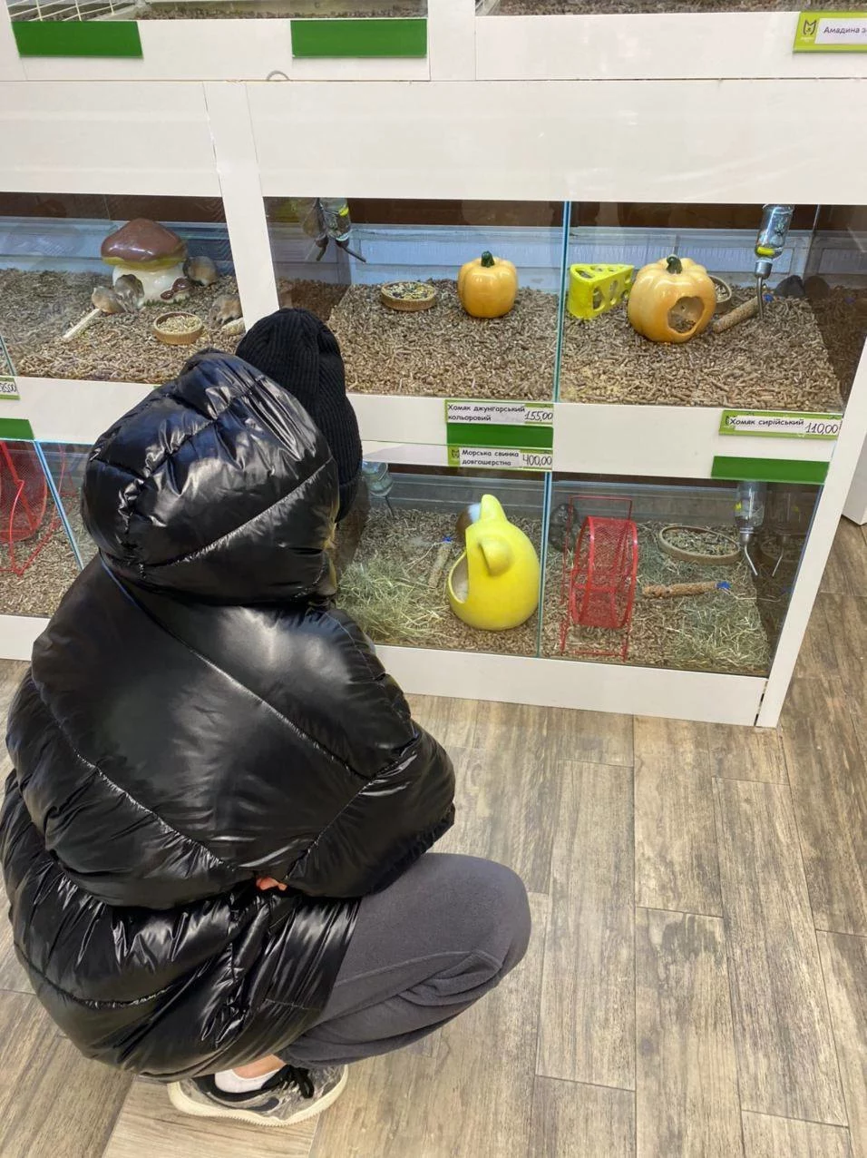 Зоомагазини MasterZoo звинувачують у байдужості до тварин. Розбираємося, в чому суть проблеми0