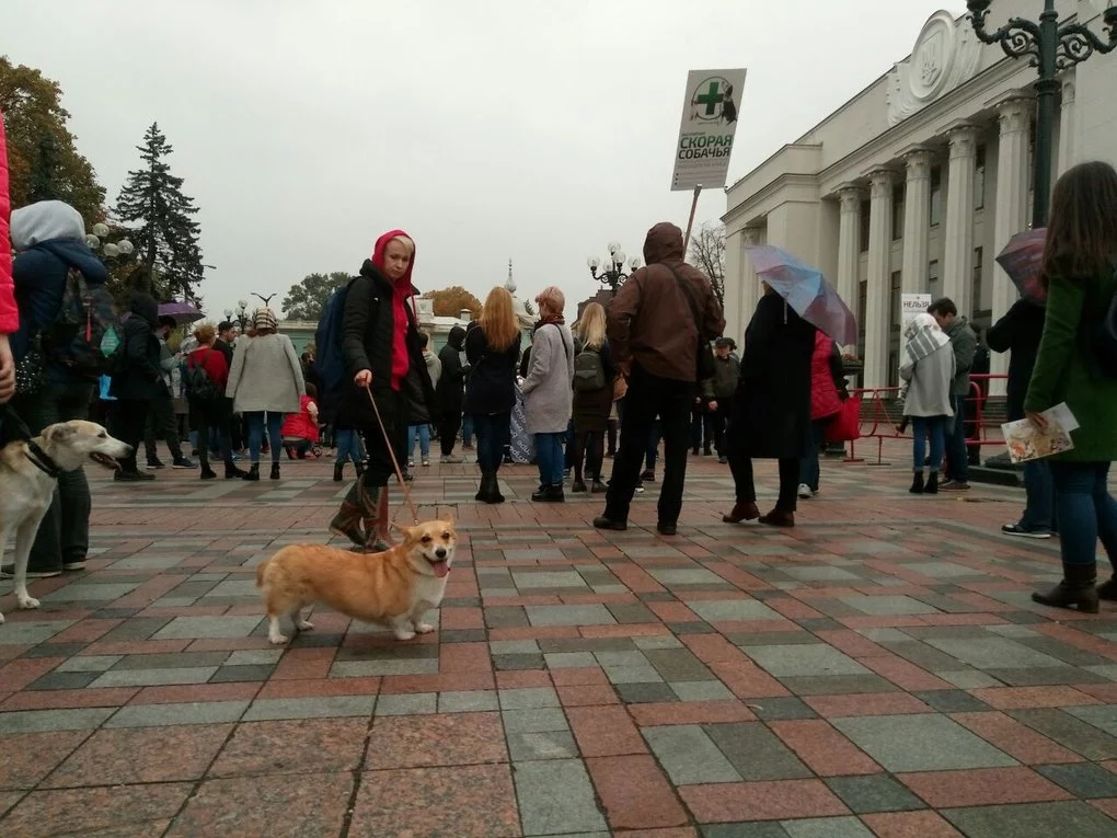 Пропозиція одружитися: учасники Маршу за права тварин у столиці України25