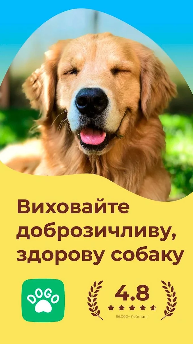 Додатки для тих, хто обожнює своїх пухнастиків: від песиків до котиків6