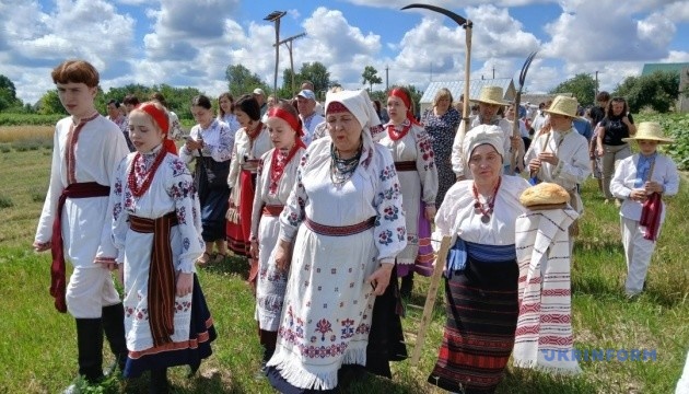 Перші колоски нового врожаю – для різдвяного дідуха