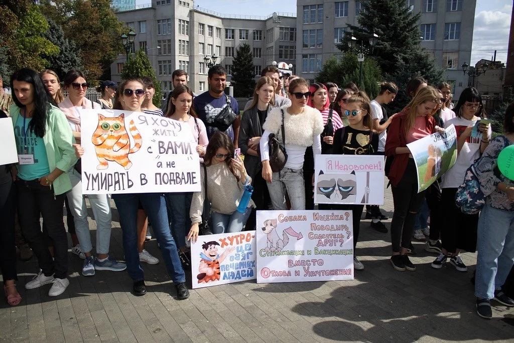 Став свідком жорстокого поводження з твариною. Розповідаємо, як діяти та чи передбачена відповідальність за це в Україні1