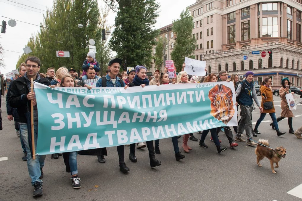 Пропозиція одружитися: учасники Маршу за права тварин у столиці України20