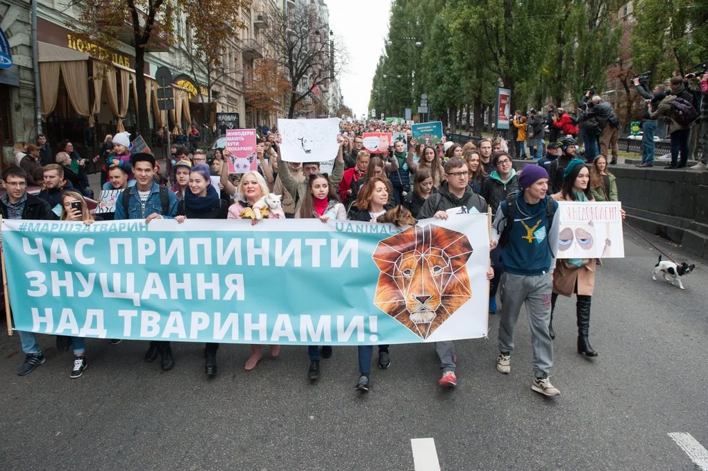 Пропозиція одружитися: учасники Маршу за права тварин у столиці України22