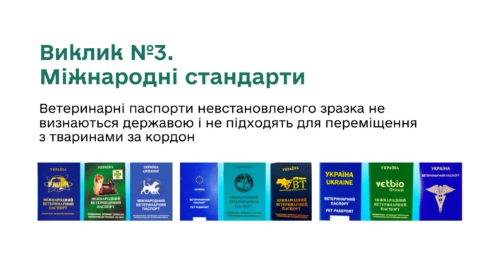 В Україні запрацює єдиний реєстр домашніх тварин: що важливо знати власникам2