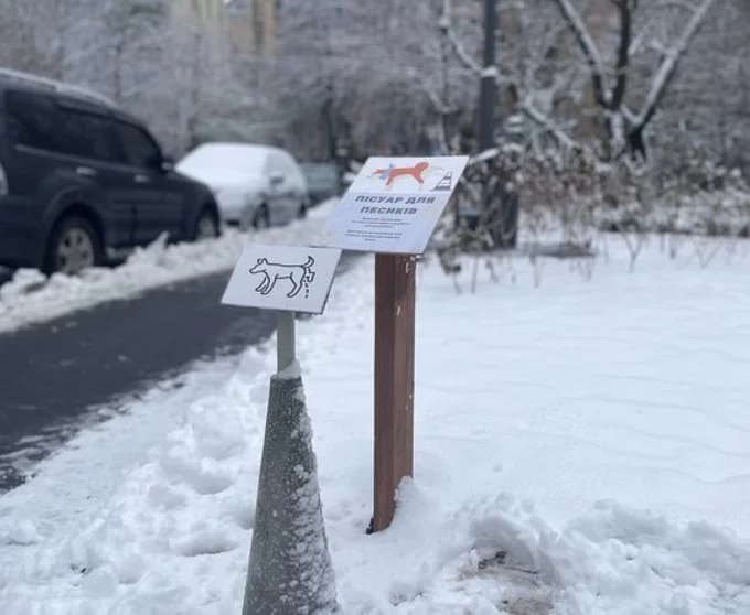 The Village Україна: 7 історій про тварин, зоозахист і дружню до тварин культуру6