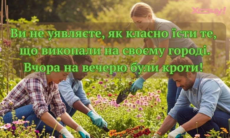 Жарти про місто та заміську ділянку – кумедні розповіді про сільський спорт