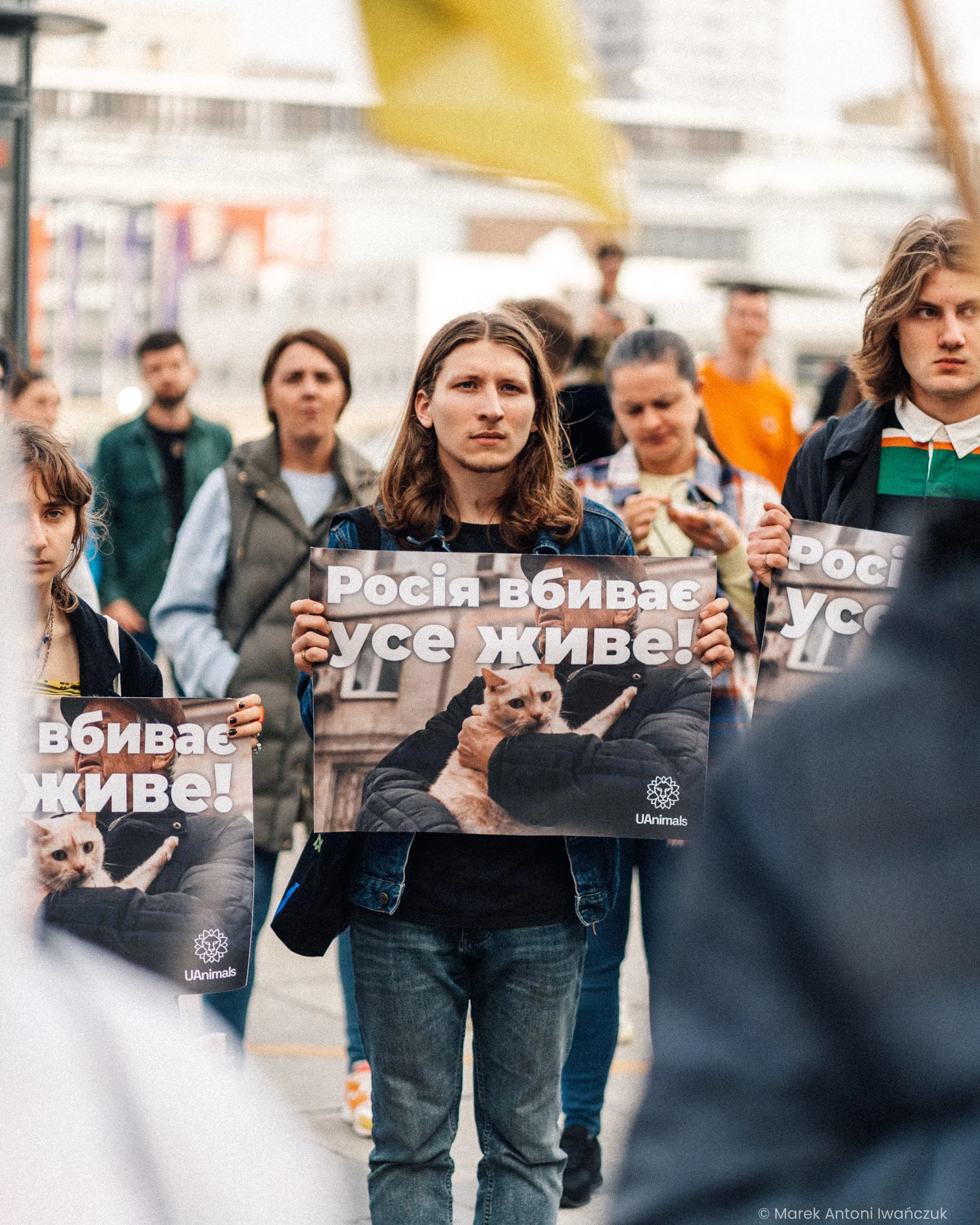 Зоозахисники рятують тварин під час війни: як допомогти безпритульним чотирилапим3