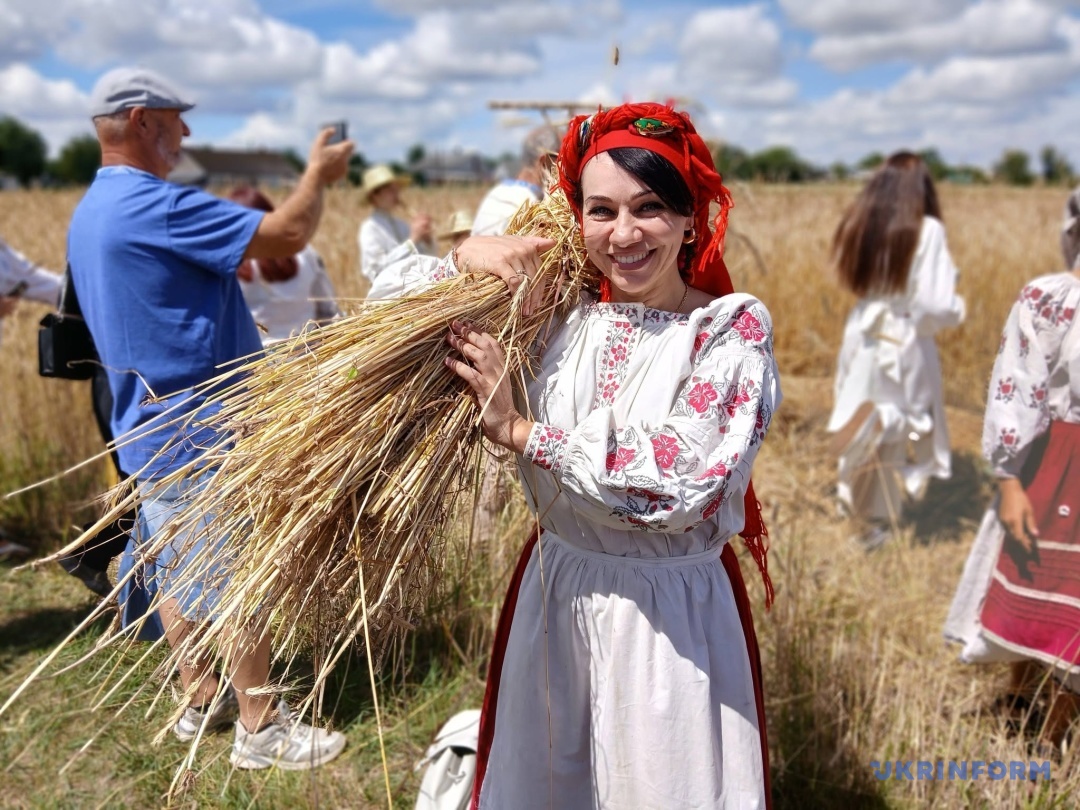 Перші колоски нового врожаю – для різдвяного дідуха7