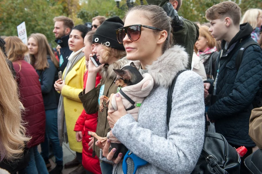 Пропозиція одружитися: учасники Маршу за права тварин у столиці України9