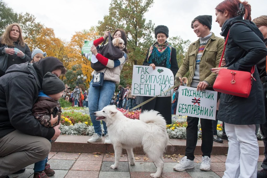 Пропозиція одружитися: учасники Маршу за права тварин у столиці України7