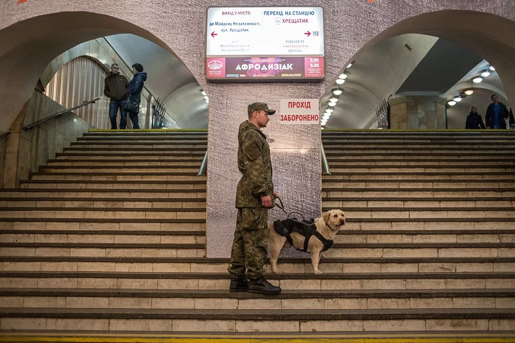 Як поводяться собаки в метро та аеропорту18