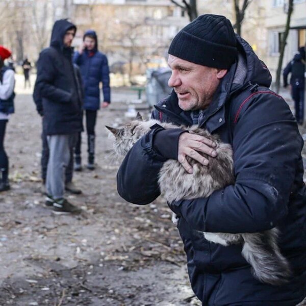 Зоозахисники рятують тварин під час війни: як допомогти безпритульним чотирилапим