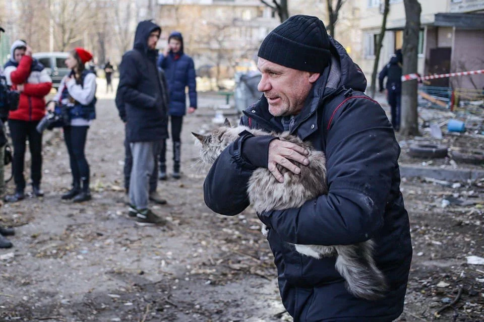 Зоозахисники рятують тварин під час війни: як допомогти безпритульним чотирилапим0