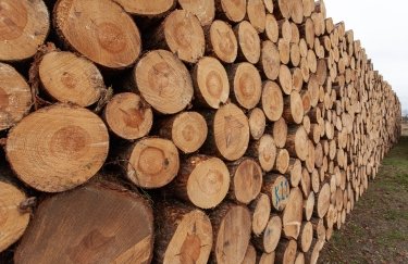Понад 5,5 мільйона кубічних метрів за шість місяців: “Ліси України” збільшують обсяги…