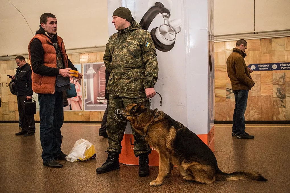 Як поводяться собаки в метро та аеропорту20