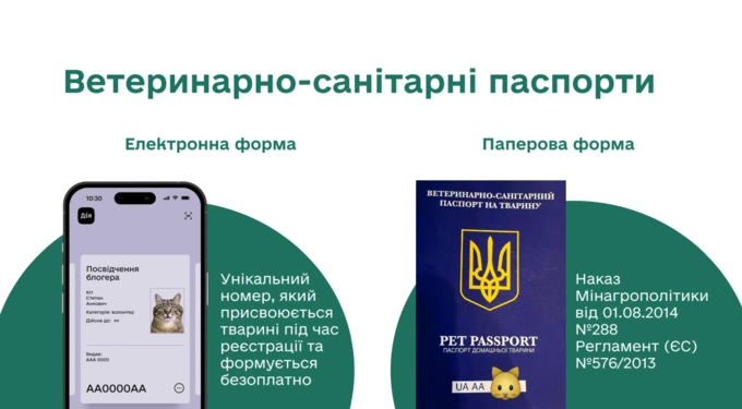 В Україні запрацює єдиний реєстр домашніх тварин: що важливо знати власникам3