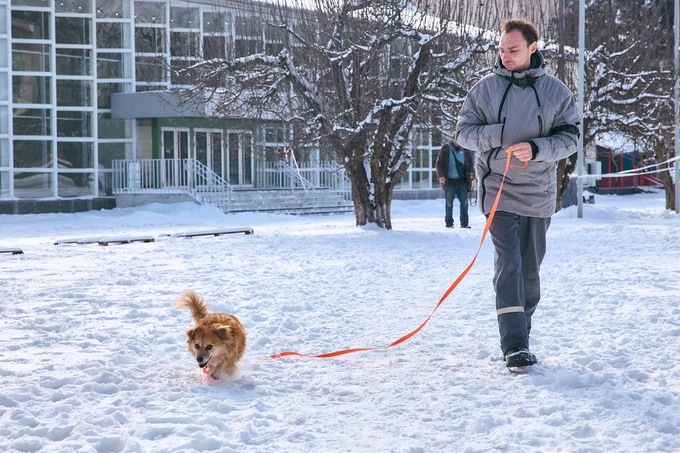 Patron Pet Center на ВДНГ: робота притулку для тварин7