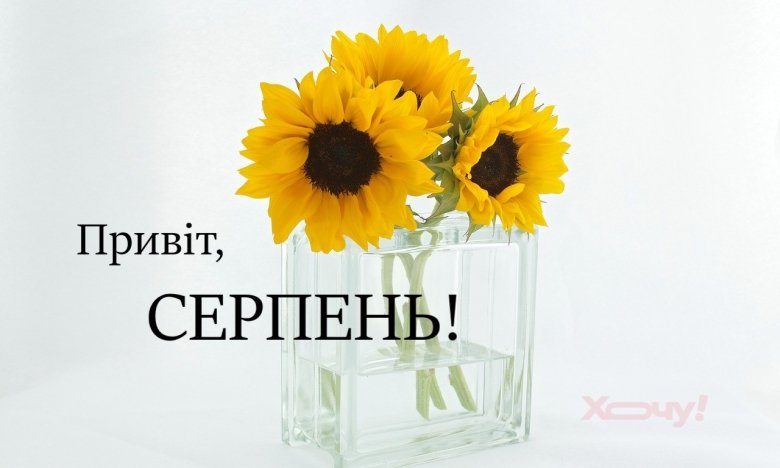 Привіт, серпню: яскраві українські картинки для натхнення0