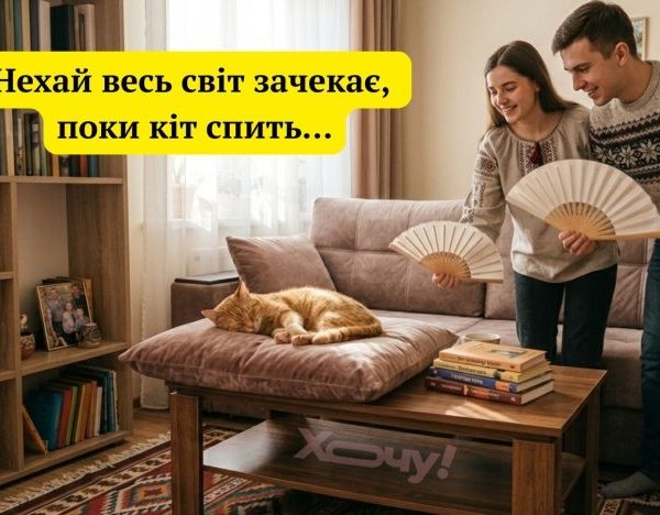 Сміємося й муркочемо: найкращі котячі меми та жарти