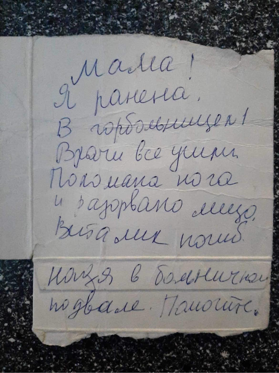 Записи загиблої мешканки Маріуполя прозвучать на Венеційському кінофестивалі4
