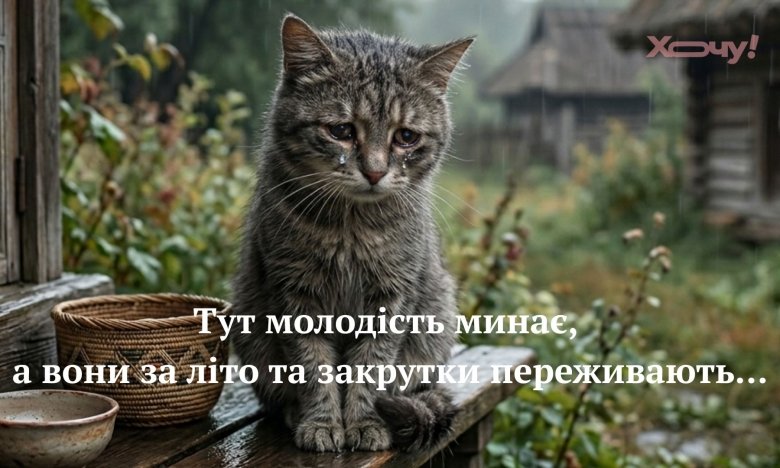 Жарти, меми та анекдоти до Дня молоді 2026