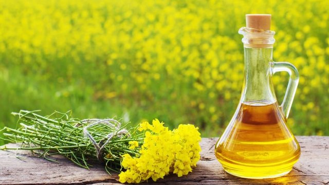 Ріпак: українські переробники зростили використання втричі0