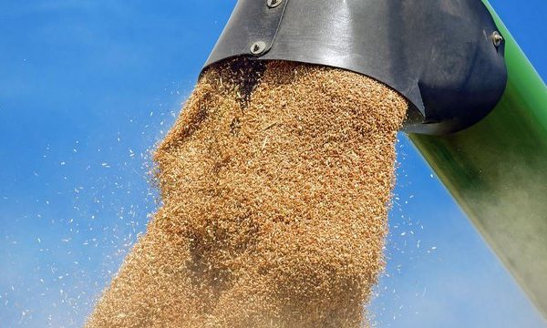 Кабмін розробляє фінансову й логістичну підтримку для аграріїв