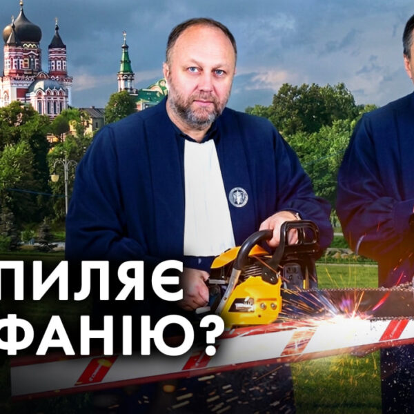 Знесений паркан і повалені дерева біля “Феофанії”: розчистили шлях для елітних маєтків