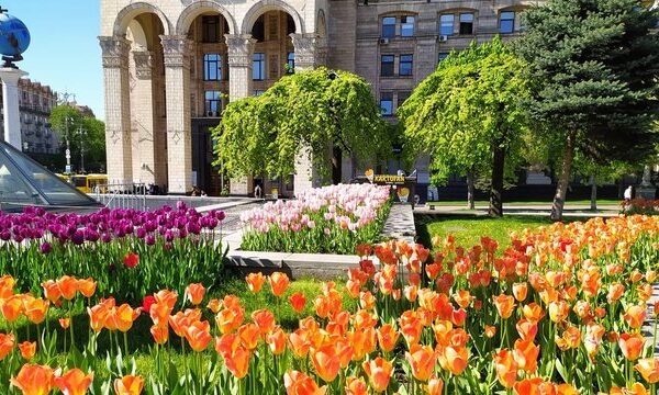Київ лідирує за сплатою екоподатку: за 7 місяців – плюс 0,6%