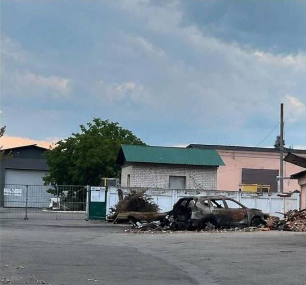 Російський дрон спалив ліс на Чернігівщині: екологічні збитки сягнули понад 409 тисяч гривень